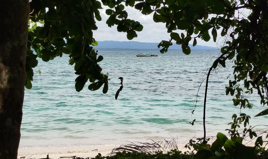 Mer turquoise et bateau vus à travers la végétation de la forêt de Cahuita