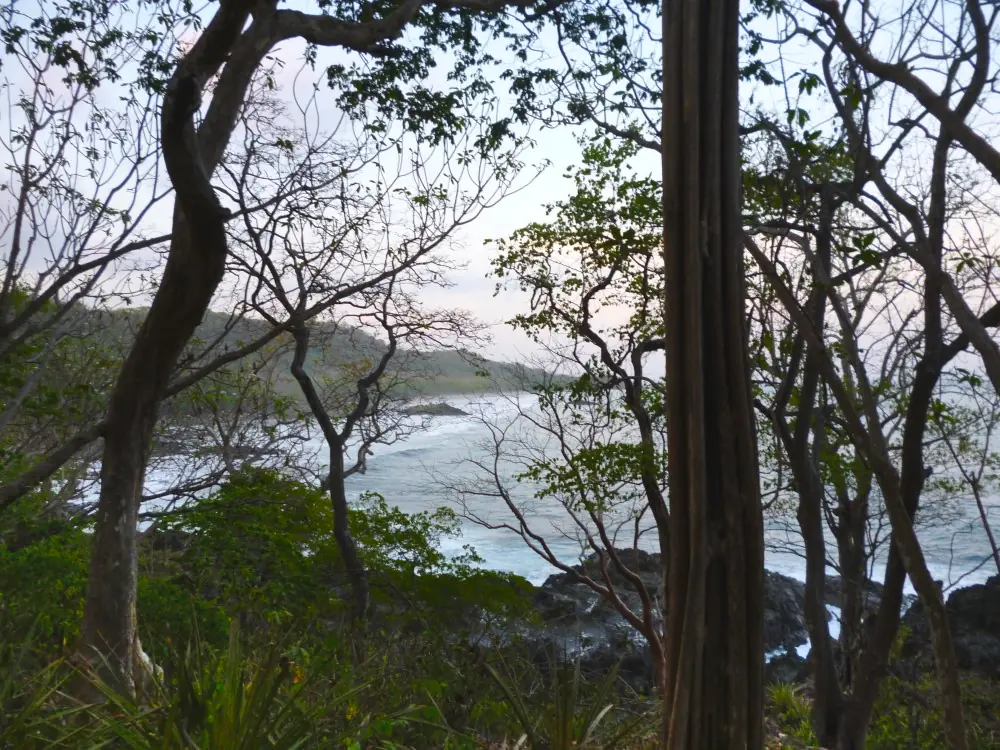 La côte rocheuse de Montezuma vue à travers les arbres de la forêt