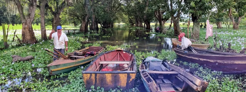 Un homme pose à côté de barques en bois rustiques, dans un marais couvert de plantes aquatiques