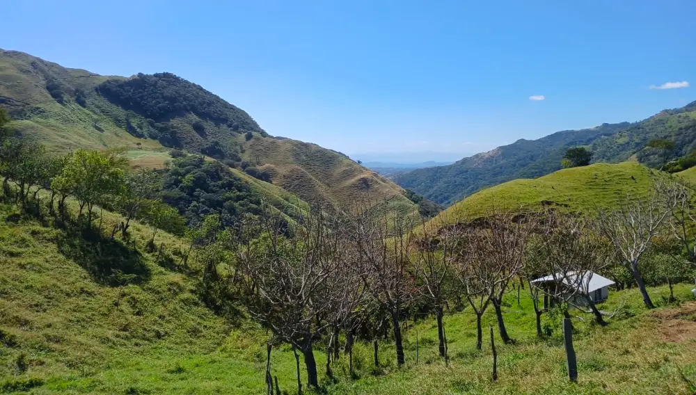 Les montagnes autour de Monteverde