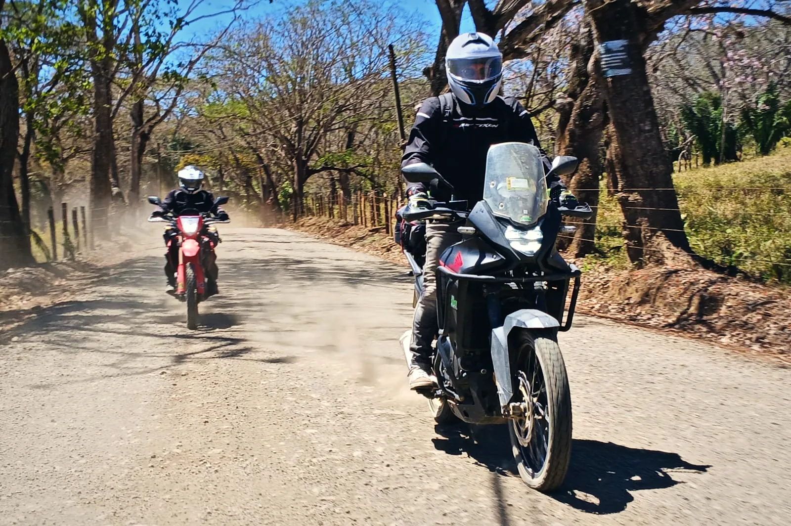 Free Ride à moto · Pura Vida Motorbike