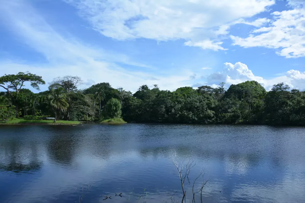 Lagune aux eaux noires entourée de forêt, sous un ciel bleu