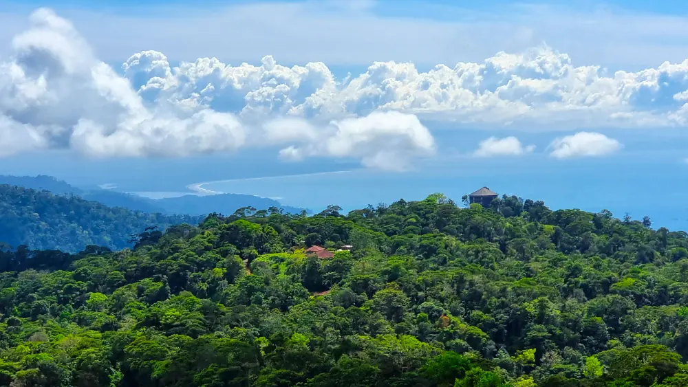 Vue sur la côte d'Uvita et l'océan Pacifique depuis les montagnes boisées