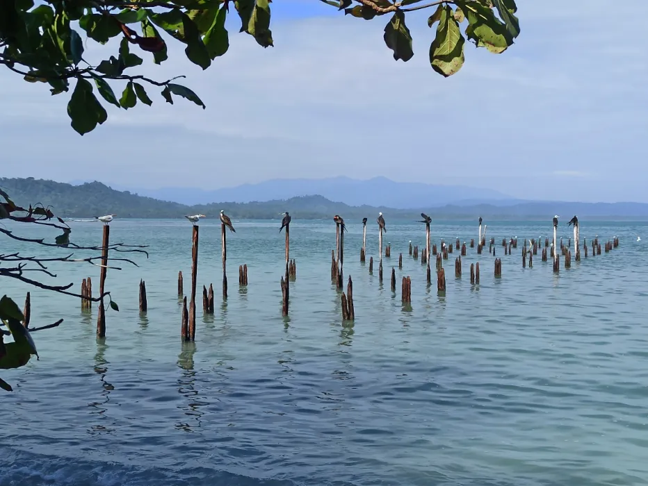 Puerto Viejo, Limón