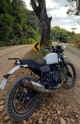 Royal Enfield Himalayan vue de l'arrière sur une piste couverte de feuilles mortes