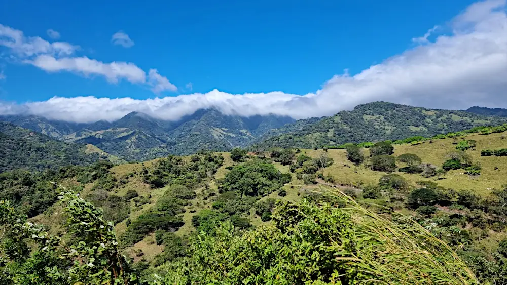 Monteverde