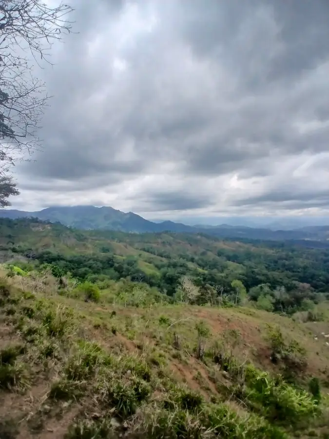 Collines boisées et montagnes sous un ciel nuageux