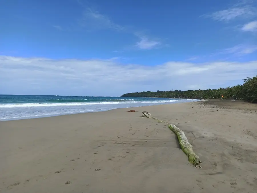 Large plage de sable à Cocles, près de Puerto Viejo, avec un tronc de palmier échoué