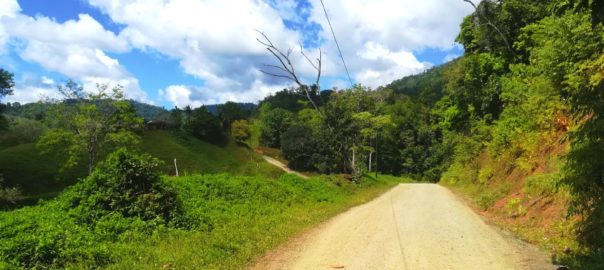 Dirt road on mountain Costa Rica