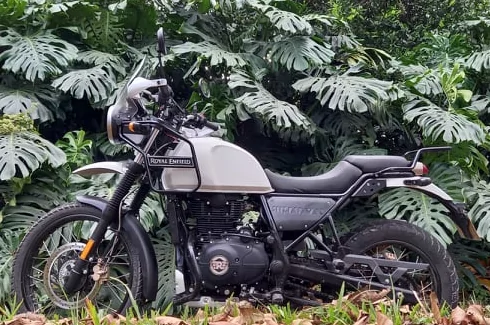 Royal Enfield Himalayan motorcycle in the jungle