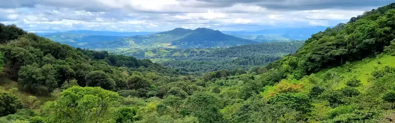 forest valley at nicaragua